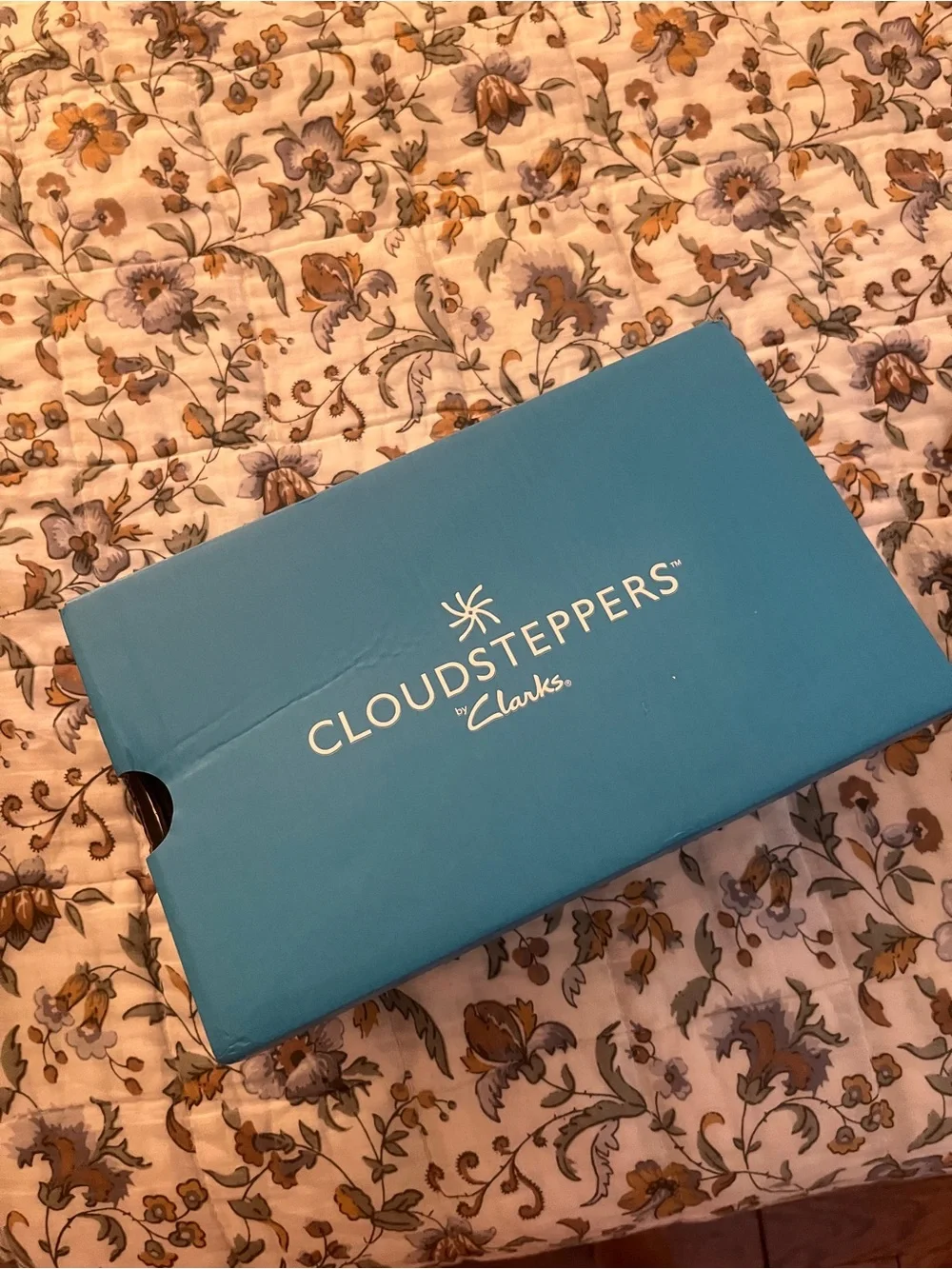 Cloudsteppers by Clarks comfortable black